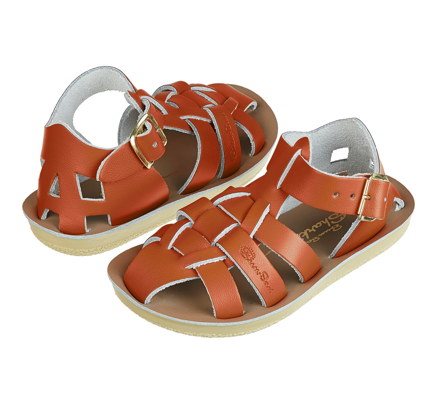Shark Paprika (Kids)