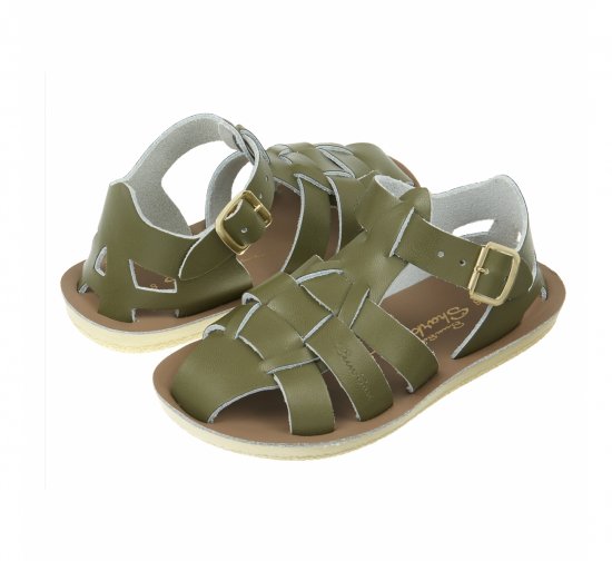 Shark Olive (Kids)