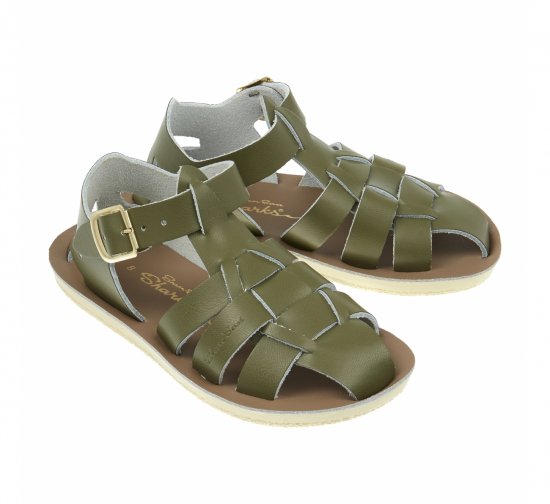 Shark Olive (Kids)